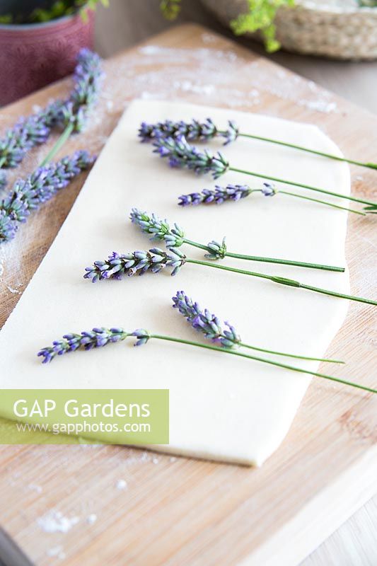 Cut lavender flowers laid out on salt dough ready for pressing 