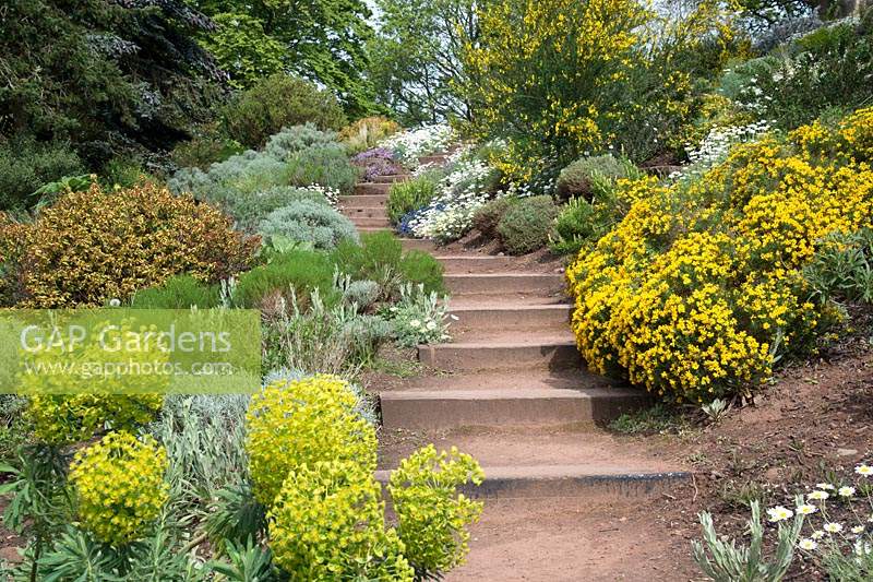 Sandstone terrace and steps with mixed spring planting