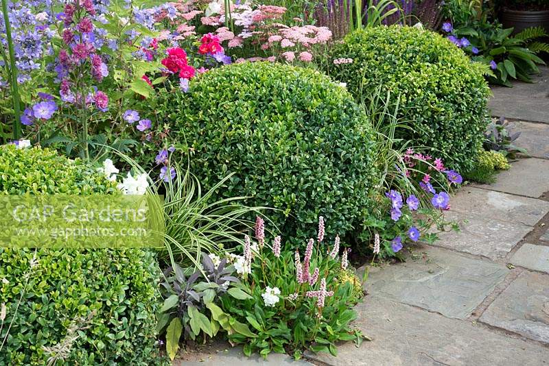 Clipped Buxus balls in flowerbed by linear path. The art and nature of port sunlight garden tatton flower show 2019