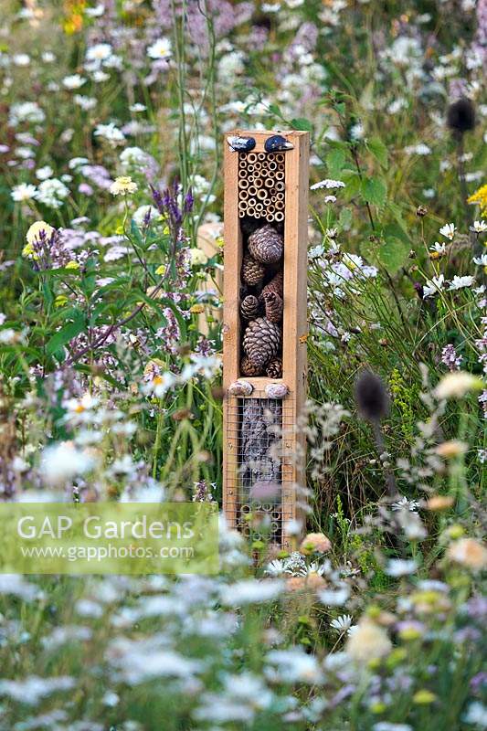 Insect friendly timber post in wild garden. RHS Hampton Court Festival 2019.