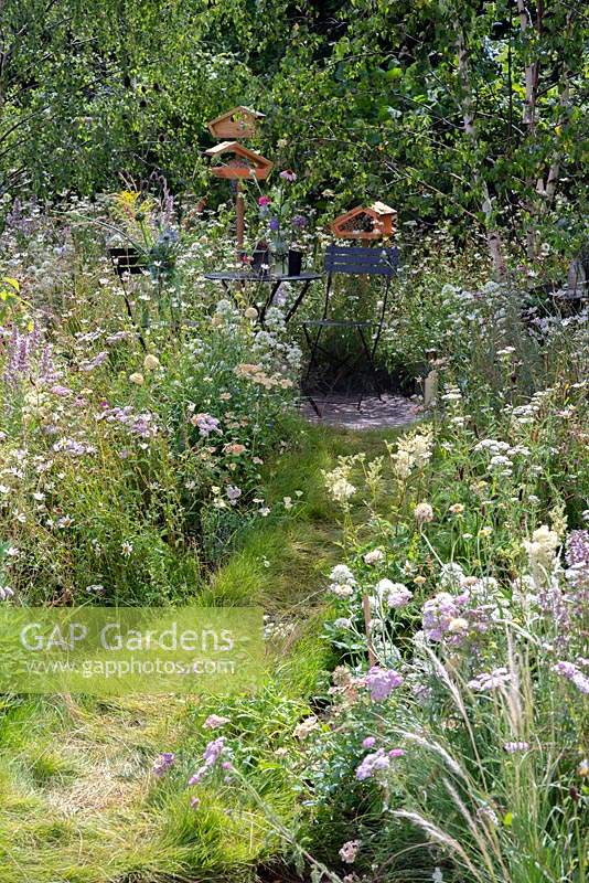 Grass path cutting through wild flower meadow leading to seating area with metal chairs and table. RHS Hampton Court Festival 2019.