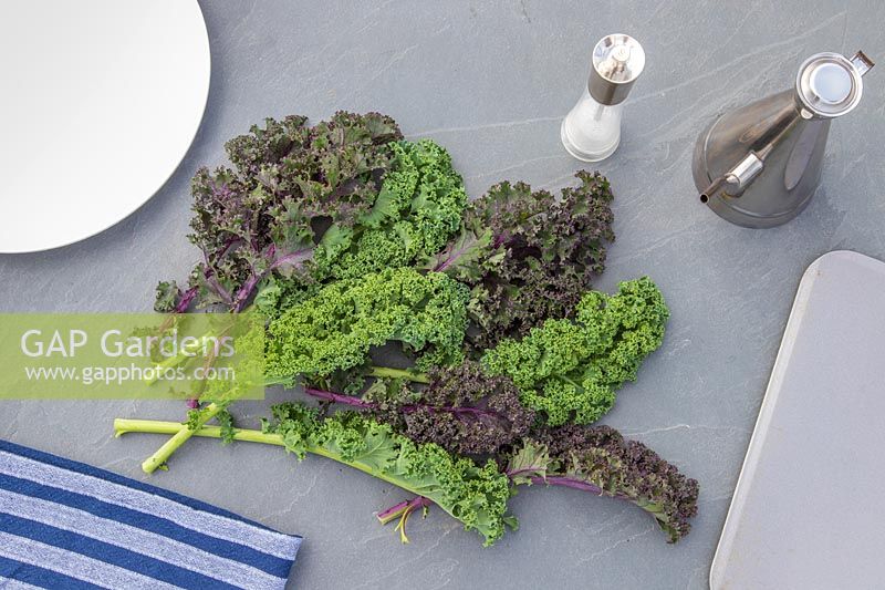 Harvested kale with salt and olive oil.