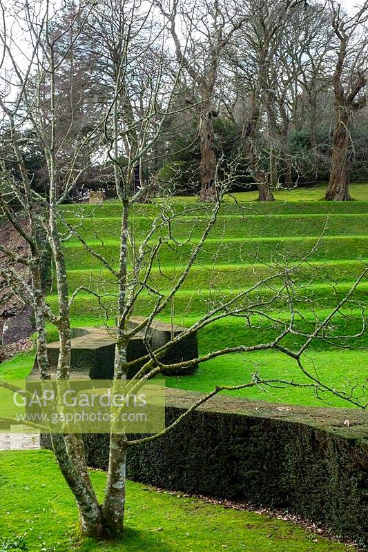Dartington Hall Gardens, near Totnes, Devon, Spring. 