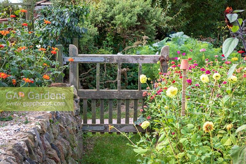 Garden Cottage at Gunwalloe in Cornwall. Cottage garden in autumn. Gate into the cutting garden.