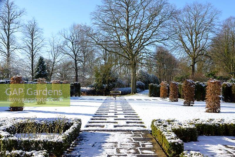 Carpinus betulus - Hornbeam pillars, Taxus baccatta - yew hedge with stone paving and Fagus sylvatica f. purpurea - large copper beech.  Buxus - box hedging with roses. Snow in January.