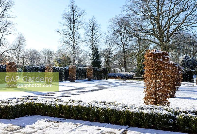 Carpinus betulus - Hornbeam pillars, Taxus baccata - yew hedge with stone paving, Fagus sylvatica f. purpurea - large copper beech and Buxus - box hedging . Snow in January.