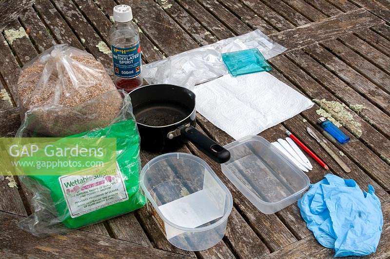 Twin scaling Galanthus 'Snowdrop' propagation step by step 1 - Picture of the necessary equipment - metylated spirit, glass chopping pane, vermiculite, polythene bags, fungicide, scalpel, lighter, labels, pencil, containers, nitrile gloves and kitchen towel.