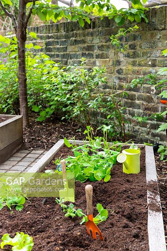 Raised vegetable bed with kid's gardening tools