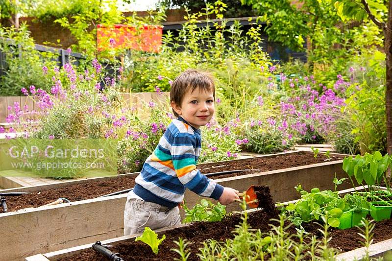 A child planting herbs in the raised bed.