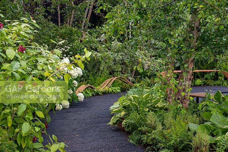 Winding black path leading to curved benches with a mixed border - The Smart Meter Garden, RHS Hampton Court Palace Flower Festival 2019