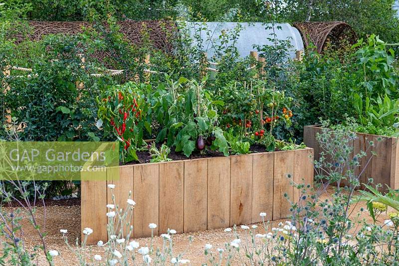 Wooden raised bed with aubergines, tomatoes and peppers. RHS Hampton Court Palace Flower Festival 2019.