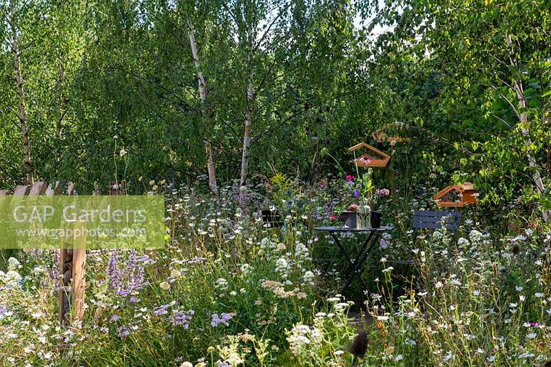 Bistro table and chairs set in a wildflower meadow, surrounded with birch trees and habitat houses. RHS Hampton Court Palace Flower Festival 2019.
