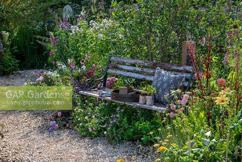 Old wooden bench in a wildflower garden. RHS Hampton Court Palace Flower Festival 2019.