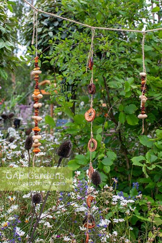 Hanging decorations made from nuts and fruit - The BBC Springwatch Garden, RHS Hampton Court Palace Flower Festival 2019
