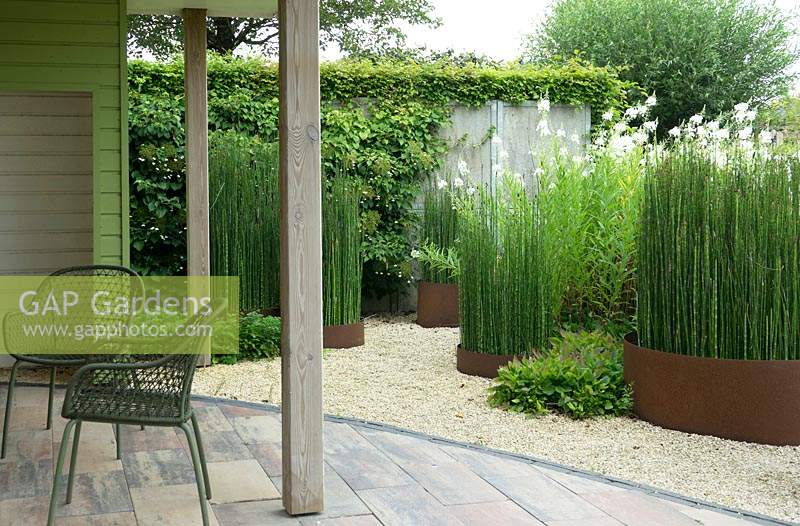 Terrace with Equisetum hyemale in rust borders.
