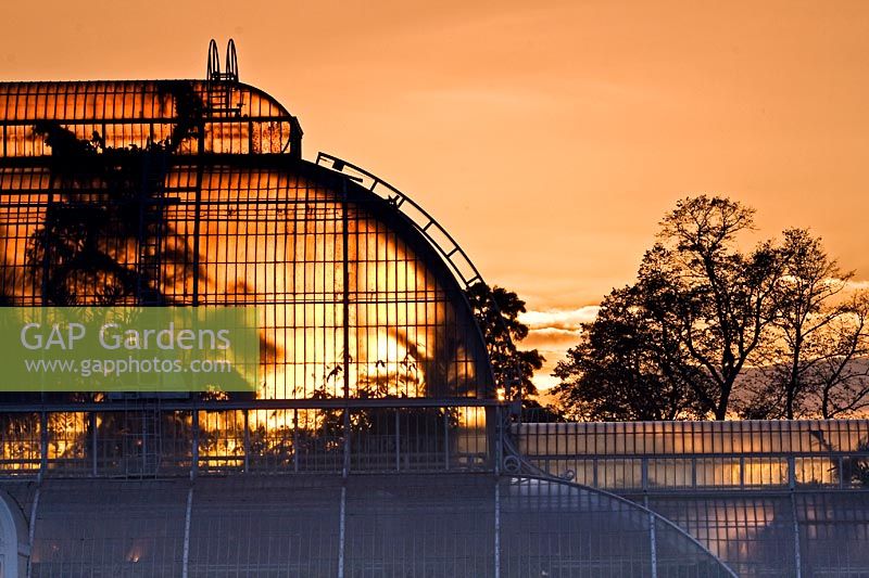 Sunset behind the Palm House and trees