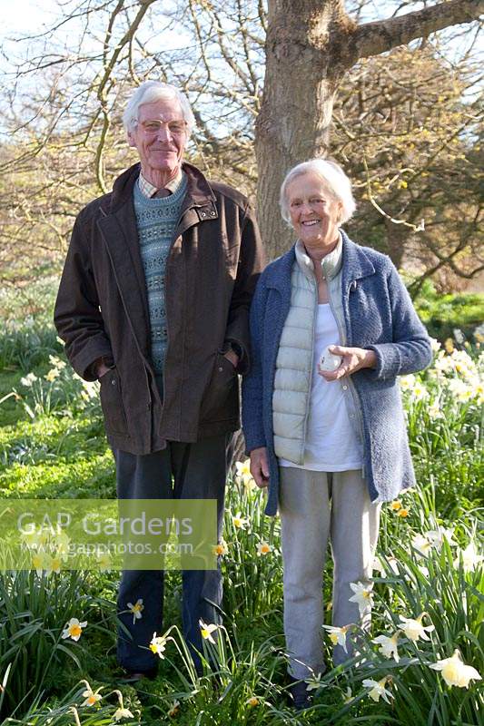 Couple standing amongst naturalised Narcissus - Daffodil