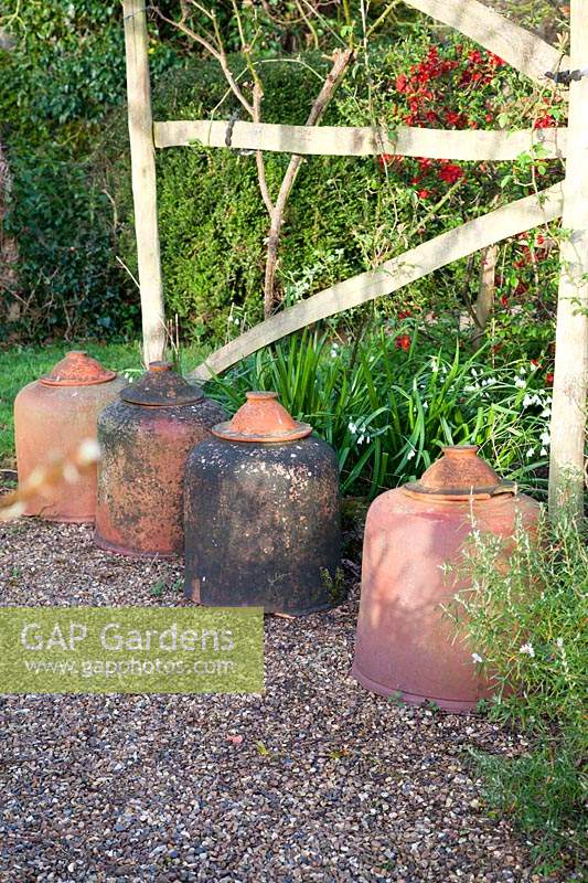 Row of terracotta rhubarb forcing pots, used as a decorative feature alongside gravel path