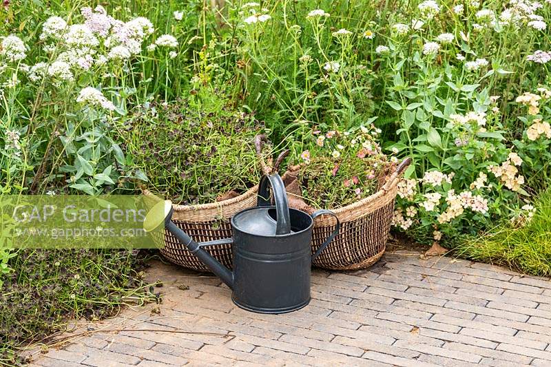A naturalistic garden with plants growing in baskets used as containers made of natural materials. RHS Hampton Court Palace Garden Festival 2019.