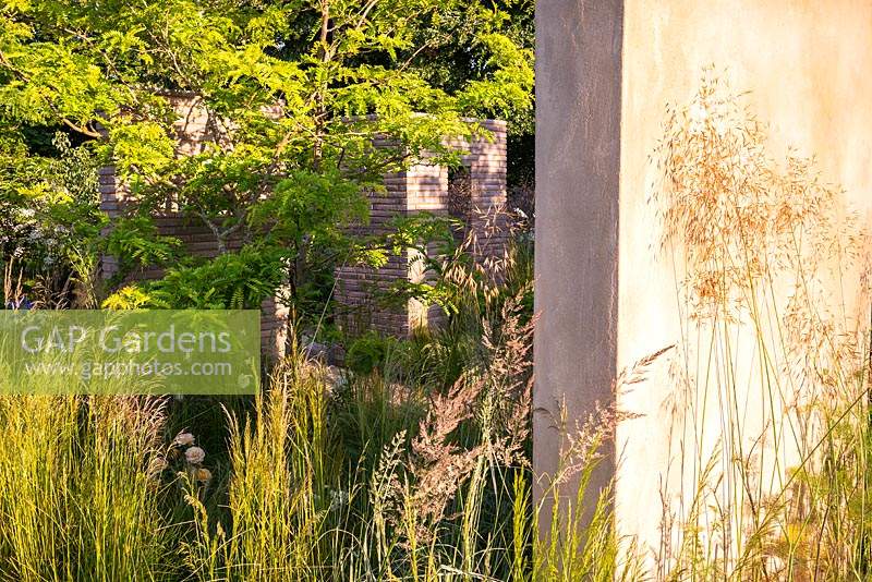 A garden inspired by the idea of Hortus conclusus or 'enclosed garden'. Dividing walls separate the garden into 'rooms', and are softened by feathery grasses. RHS Hampton Court Palace Garden Festival 2019. Sponsors: Wienerberger, Majestic Trees, Quick Hedge, Allgreen Group, WowGrass.