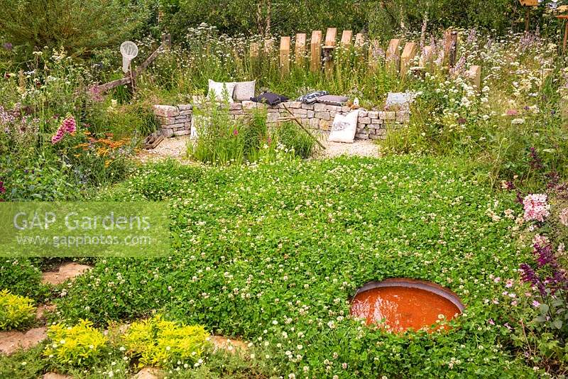A nectar-rich, wildlife-friendly garden providing a habitat for bees and other insects. A small container of water is set in a lawn of Trifolium repens - White Clover - and a drystone wall doubling as a seat provides a habitat for wildlife. RHS Hampton Court Palace Garden Festival 2019.