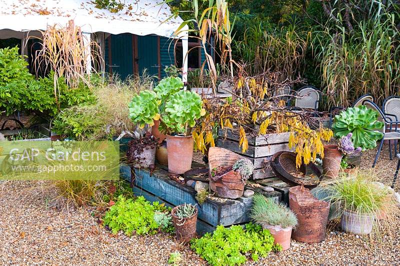 Decorative arrangement of pots near the garden entrance at Knoll Gardens in autumn