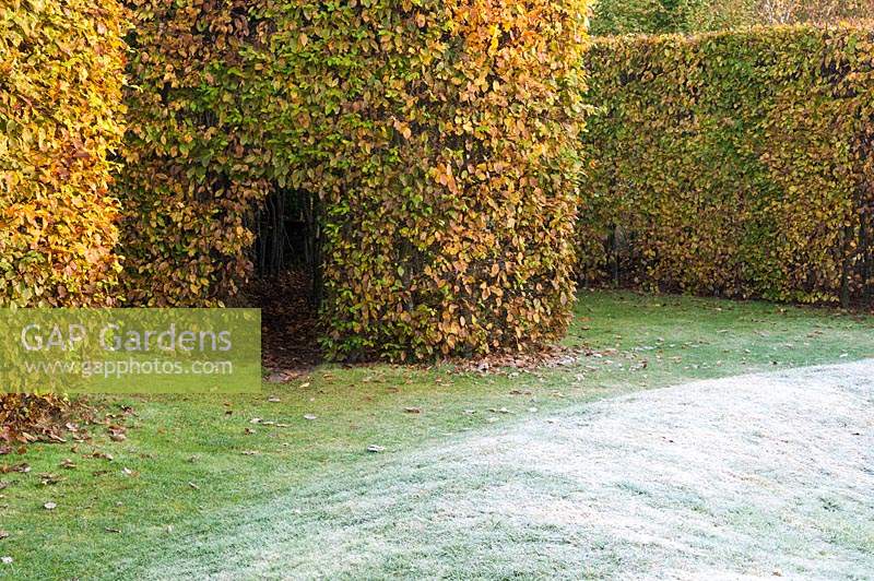 Opening into a hornbeam hedge in the walled garden at Marks Hall in autumn, designed by Brita von Schoenaich's 