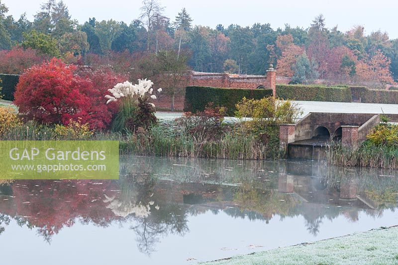 Misty autumn morning at Marks Hall Gardens and Arboretum with plume pampas grass, deciduous shrubs and trees turning warm colours