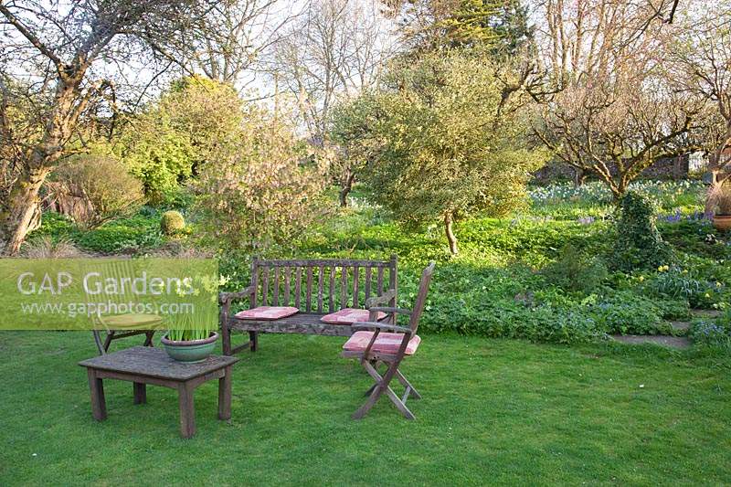 Wooden garden furniture on lawn with decorative container of Narcissus on table:  Little Court, Hampshire, UK