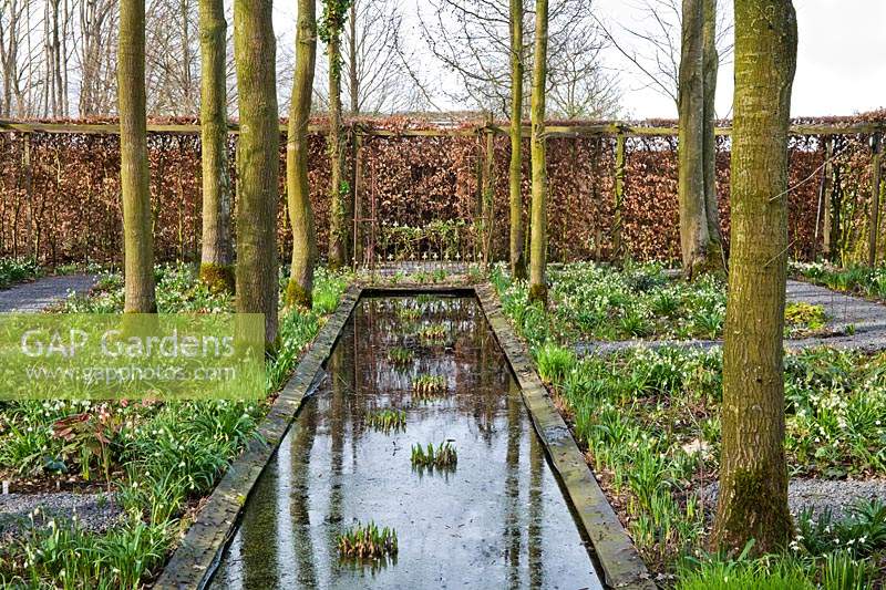Rectangular pond or rill with a border of trees underplanted with Galanthus - Snowdrop - and Helleborus orientalis