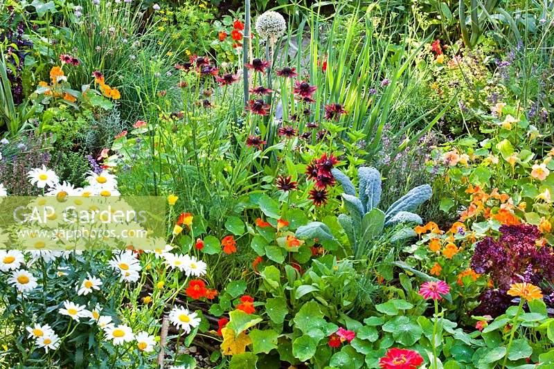 Mixed planting of vegetables, herbs and flowers