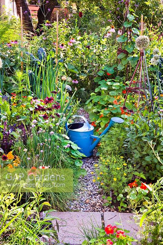 Watering can on a path amongst mixed summer borders of vegetables, herbs and flowers