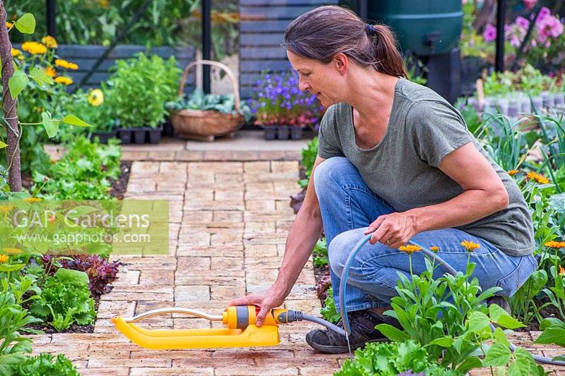 Woman placing sprinkler on path in kitchen garden