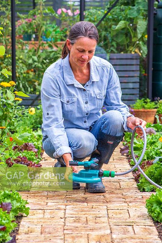 Woman placing sprinkler on path in kitchen garden