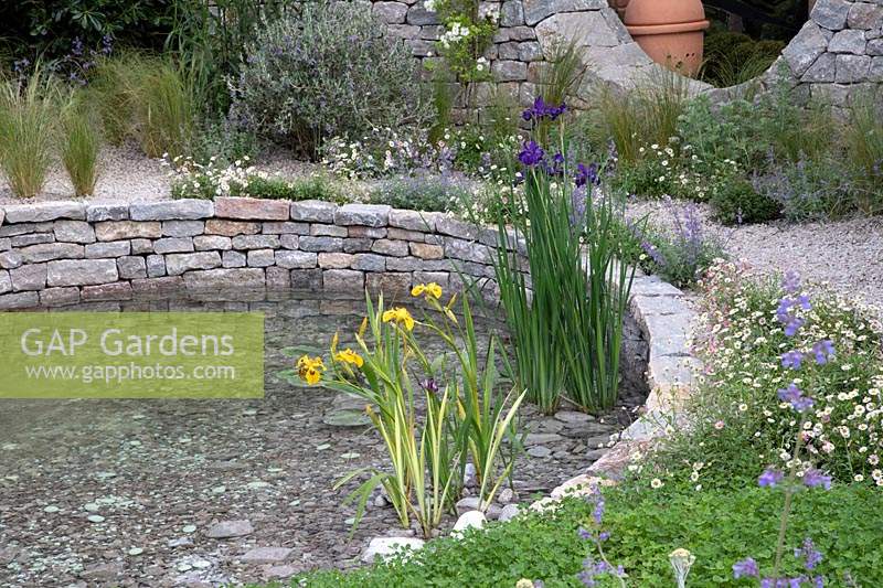 The Harmonious Garden of Life garden with a water feature made from dry stone walling bordered by a gravel path with Stipa tenuissima bordering the pond with irises - Sponsor: Mr Robert and Mrs Sue Cawthorn Margheriti Piante, Italy