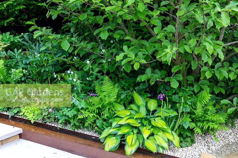 The RHS Chelsea Flower Show 2019. Garden: Kampo No Niwa Garden. Green foliage planting.