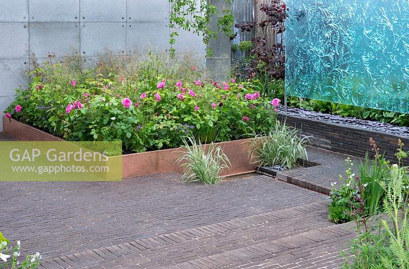 The Silent Pool Gin Garden: Rosa 'Gertrude Jekyll' in raised bed with beaten copper edging. Sponsors: Silent Pool Gin. Rhs Chelsea flower show 2019.