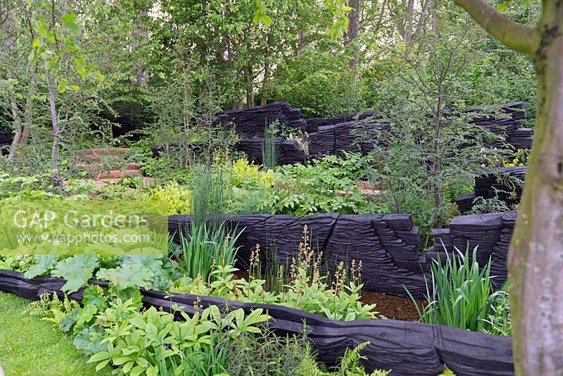 The M and G Garden: Extensive woodland planting amongst ancient rock sculptures made from burnt oak timber. Sponsors: M and G Investments. Rhs Chelsea flower show 2019.
