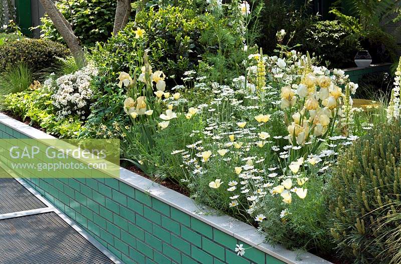 The Greenfingers Charity Garden: Lupins and iris in raised bed. Sponsors: Greenfingers Charity. Rhs Chelsea flower show 2019.