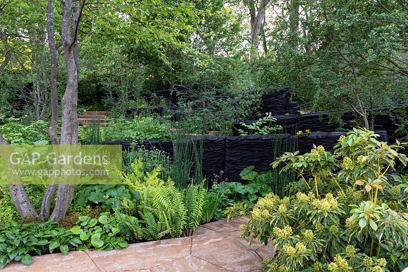 The M and G Garden. A lush woodland with blackened timber sculptures by Johnny Woodford, creating a dramatic backdrop for green under storey planting. Sponsor: M and G Investments.