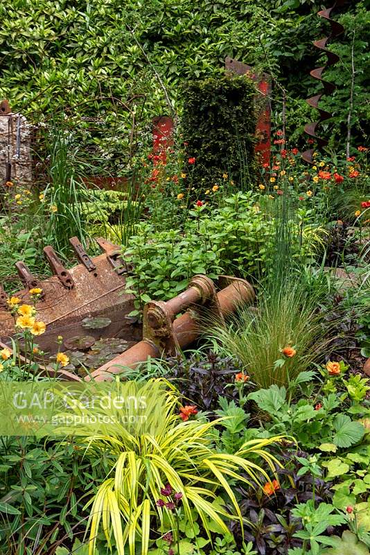 Walker's Forgotten Quarry Garden, RHS Chelsea Flower Show, 2019. 