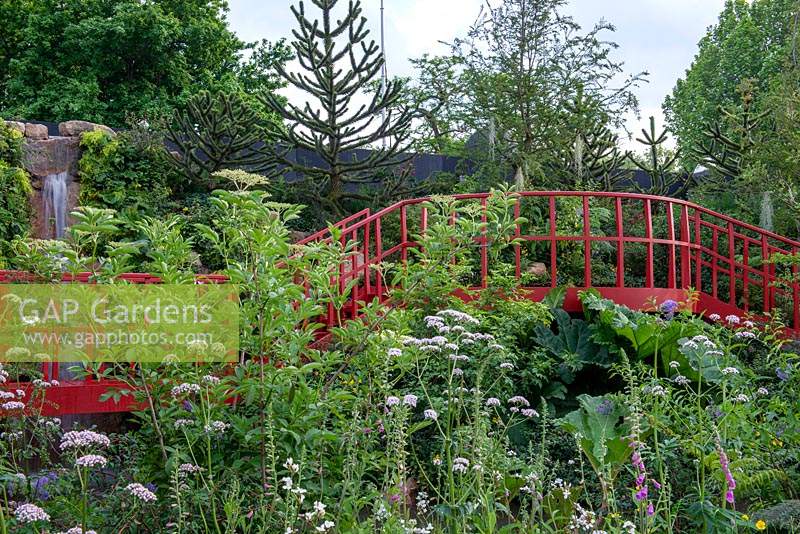 The Trailfinders 'Undiscovered Latin America' Garden, RHS Chelsea Flower Show 2019