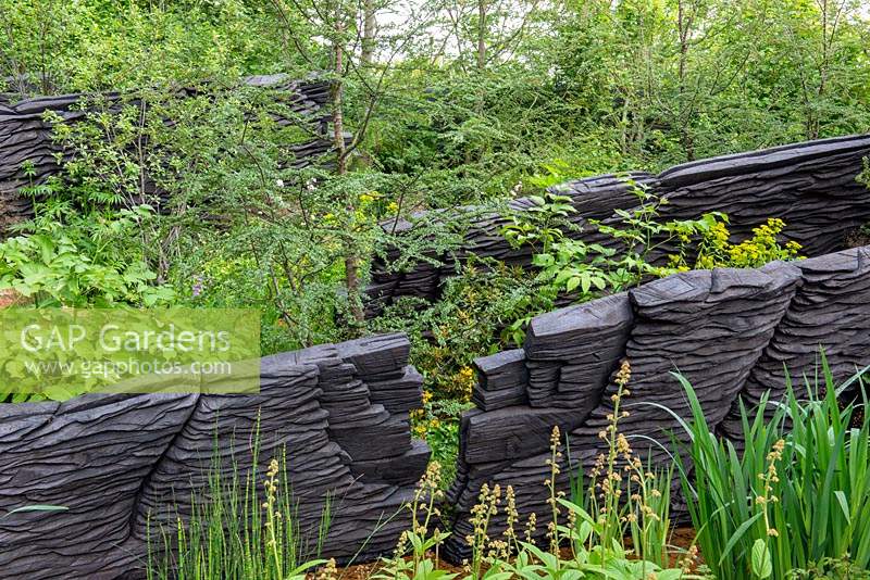 Lush green woodland planting  - The M and G Garden, RHS Chelsea Flower Show 2019