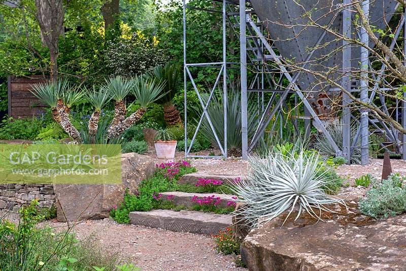 The Resilience Garden, RHS Chelsea Flower Show 2019 - Steps leading up to a repurposed grain silo, Yucca recurva and Puya coerulea 