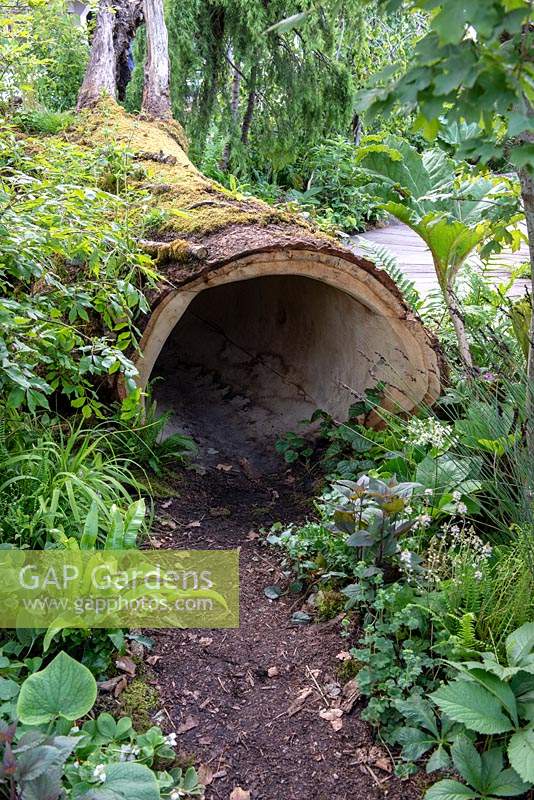 Hollow tree trunk for children to hide in - The RHS Back to Nature Garden, RHS Chelsea Flower Show 2019.