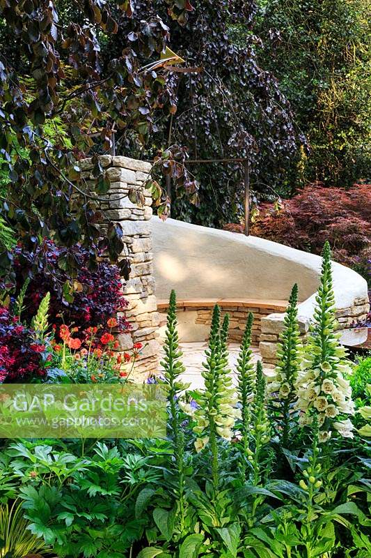 The Kingston Maurward Garden. Catching the evening sunlight, a circular seating area with wooden bench on drystone walling support. Rustic curving wall extends around the bench. Planting includes: Fagus sp. - Purple Beech,  Acer palmatum - Japanese Maple, Peonia - Tree Peony foliage, Geum, Campanula persicifolia and Digitalis purpurea f. alba - Foxglove. Sponsor: Miles Stone