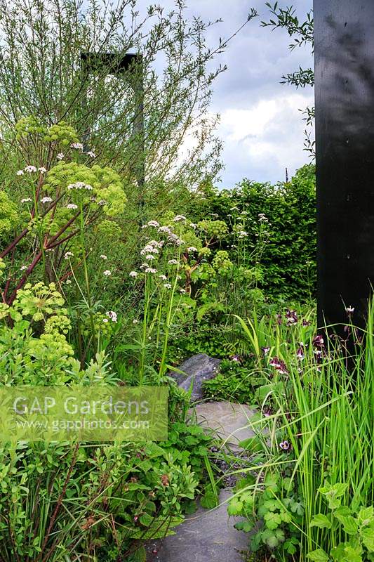 Viking Cruises: The Art of Viking Garden. Stepping stone pathway through naturalistic planting, including Myrica gale, Angelica archangelica, Salix - Shrubby Willow, Valeriana officinalis and Aquilegia. Sponsor: Viking Cruises. 