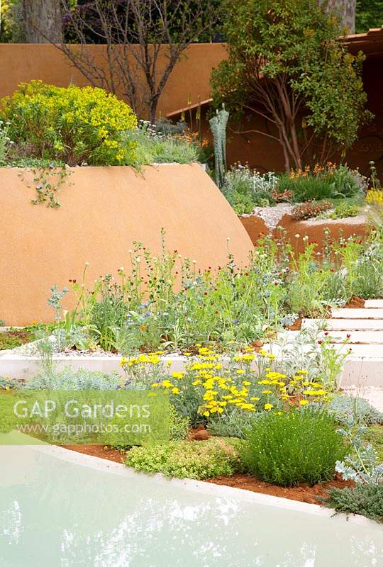 The Dubai Majilis Garden. View of planting at top of walls. Planting includes: Artemisia, Achillea coarctata, Euphorbia and Helichrysum italicum. Sponsor: Dubai