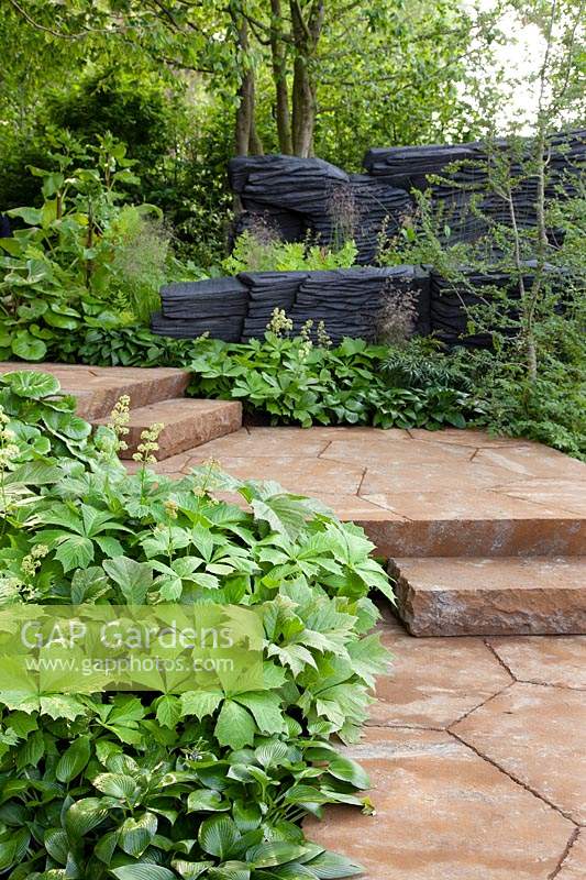 The M and G Garden 2019, The ironstone staircase is bordered by the planting of Hosta 'Devon Green' and Rodgersia podophylla - Sponsor: M and G investments.