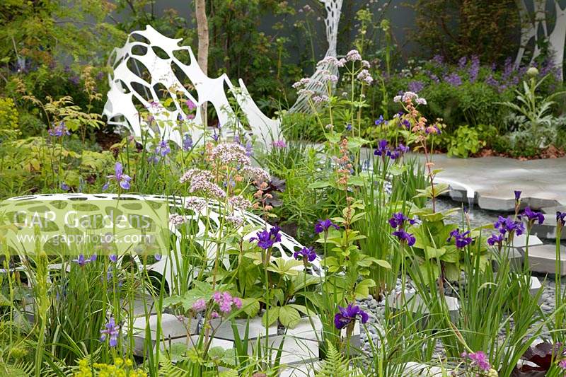 The Manchester Garden, view of the garden and its ondulating white sculptures, with planting including Iris sibirica 'Caesar's Brother', Iris sibirica 'Persimmon', Valerian and Rodgersia. Sponsors: Aviva Investors and Cole Waterhouse.